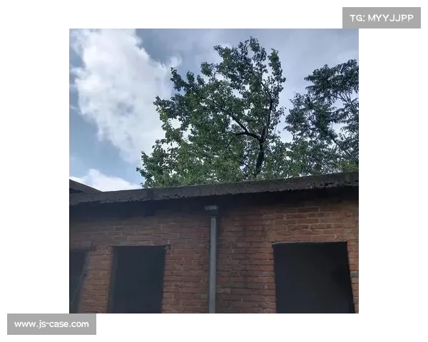 揭开东超的奥秘：深度解析东超的起源与发展历程